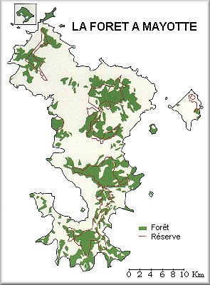 AGRICULTURE A MAYOTTE